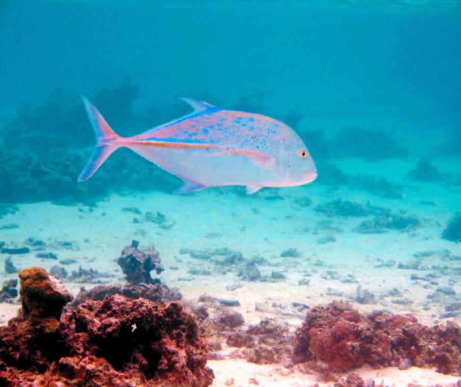 Resort Tava'E Amuri 外观 照片